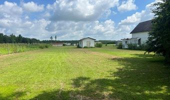4180 McConnell Bridge Rd, Adel, GA 31620