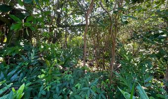 BEACH RD, Keaau, HI 96749