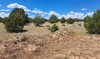 20614014 E W Isabella Ln, Ash Fork, AZ 86032