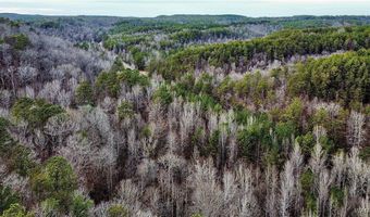 8648 Groundhog Rd, Adger, AL 35006