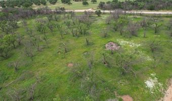 Tbd FM 600, Anson, TX 79501