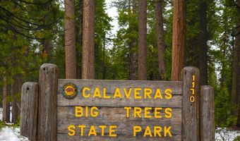2883 Chinook Way, Arnold, CA 95223