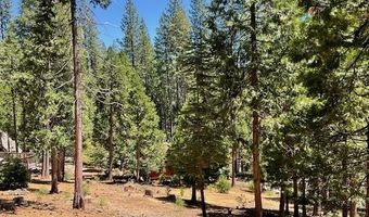 1547 Anna Lee Way, Arnold, CA 95223