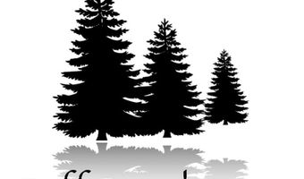 Lot 5 Forest Drive, Arundel, ME 04046