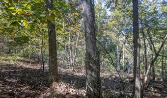 County Road 204, Alton, MO 65606