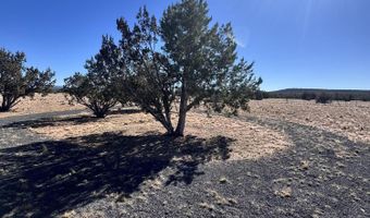 45 Xxx N Tanner Rd, Ash Fork, AZ 86320