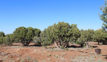 113 County Road 8092 Cedar, Concho, AZ 85924