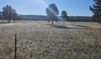 31747 Godowa Springs Rd, Beatty, OR 97621