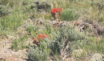 COS 947 Tract 11, Belfry, MT 59008