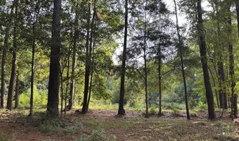 0 Providence Cir, Awendaw, SC 29429