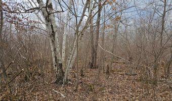 51935 Cloverton Rd, Arna Twp., MN 55072