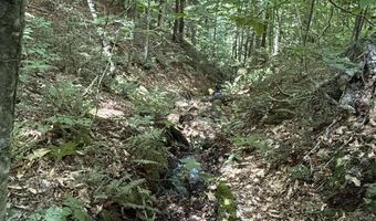 392 Sicard Rd, Brookfield, VT 05036