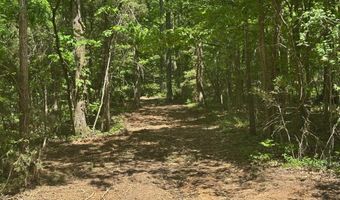 10515 Paw Paw Springs Rd, Arrington, TN 37014