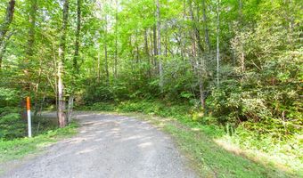 1200 Tobacco Branch Rd, Almond, NC 28702