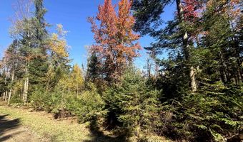 Atwood Road lot 2, Brighton, VT 05846