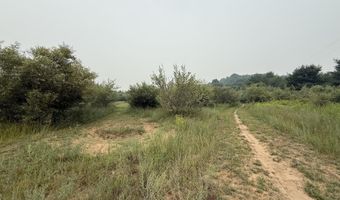 20 Acres E M-30 Hwy, Alger, MI 48610