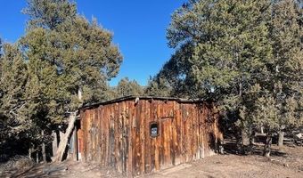132 White Tail Pl, Arboles, CO 81121