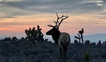159 Eagle Nest Cir, Cold Creek, NV 89124