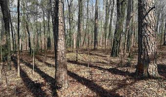 Lot 0 Dearmanville Road, Anniston, AL 36207