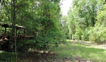 1091 Pine Grove Rd, Leesville, SC 29006