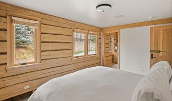 100 Difficult Ln, Aspen, CO 81611