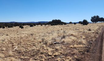 True Grit lot 55A, Ash Fork, AZ 86320