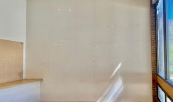 225 N Mill St 117, Aspen, CO 81611