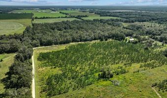 00 50th Ave, Bell, FL 32619