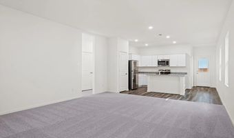 125 Three Chimneys Ln, Anna, TX 75409