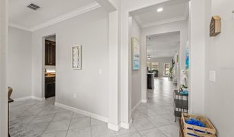 3212 CALVANO Dr, Land O Lakes, FL 34639