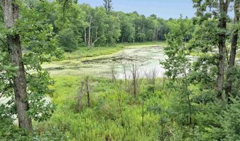 6974 WOODLAND Ln, Amherst, WI 54406