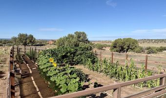 105 County Road N9328, Concho, AZ 85924
