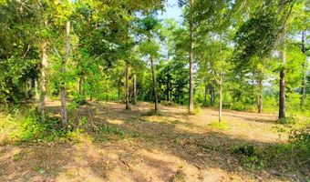 Lot 12 A Mountain View Way 12, Bainbridge, GA 39819