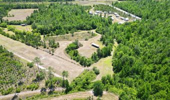 17668 Flatwoods Rd, Altha, FL 32421