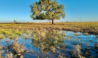 State Highway 214, Adrian, TX 79001