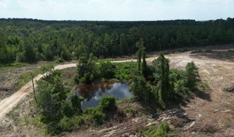 SE Cole Drive, Bogue Chitto, MS 39629