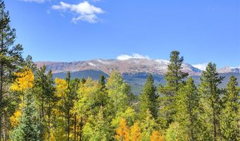 9 ROUNDS DR Rd, Breckenridge, CO 80424