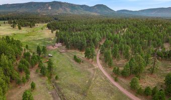 36 County Road N2147, Alpine, AZ 85920