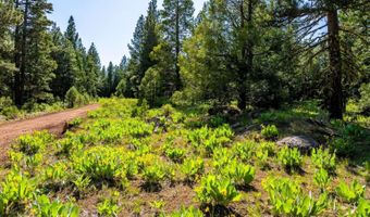 9454 Ridge Rd, Alturas, CA 96101