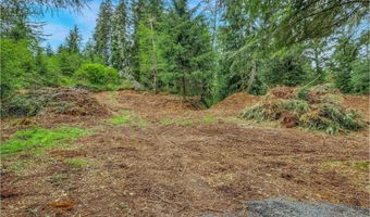 Ziak-Gnat Creek Ln, Astoria, OR 97103