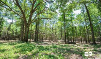 County Road 86, Bay Minette, AL 36507
