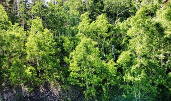 349 W Eagles Roost St, Brian Head, UT 84719