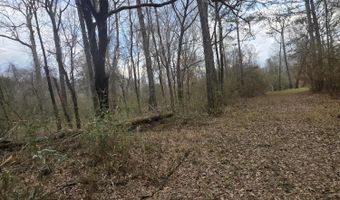U.S. Highway 51, Bogue Chitto, MS 39629