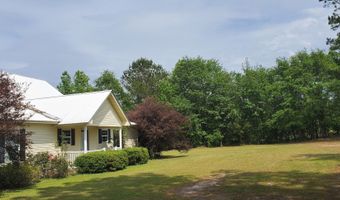 762 Old McLeod Brg, Adrian, GA 31002
