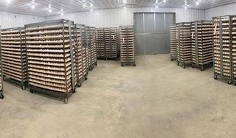 1481 County Road 127, Abbeville, AL 36310