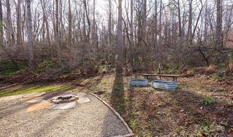 24 Lower Grassy Branch Rd, Asheville, NC 28805