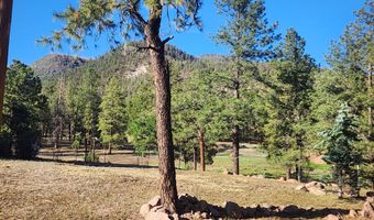 54 1st N St, Alpine, AZ 85920