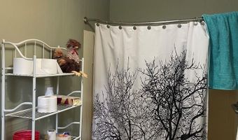 3667 Lake Douglas Rd, Bainbridge, GA 39819