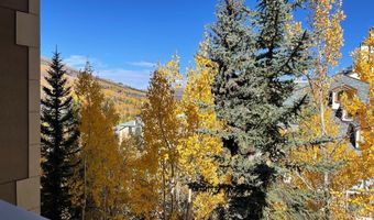 210 Offerson Rd R 204, Week 3, Beaver Creek, CO 81620