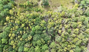 Eugene Ward Road, Adrian, GA 31002